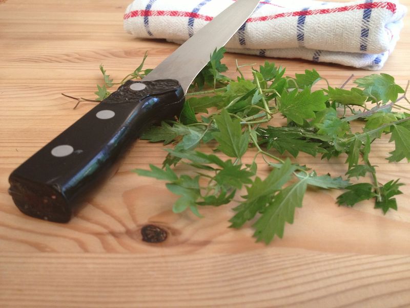 o8r6qYFKm0QsEGI0DHmlyjg98zyeJ4BAXnRgogW7aEQ